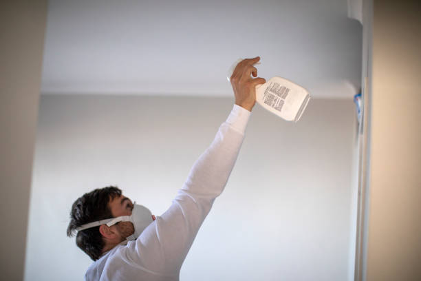 Best Mold Cleaning Services  in Albertson, NY